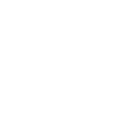 Google Premier Partner